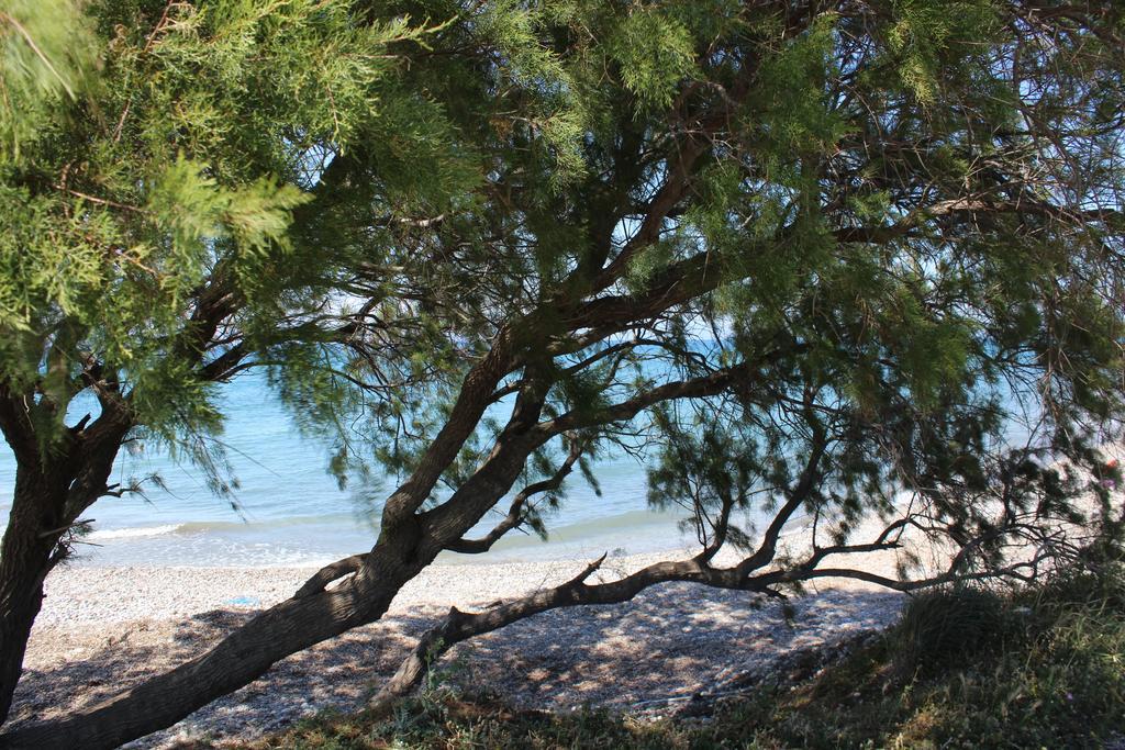 Corellia Asterias Beach Hotel Theológos Dış mekan fotoğraf