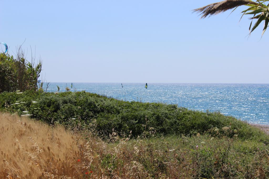 Corellia Asterias Beach Hotel Theológos Dış mekan fotoğraf