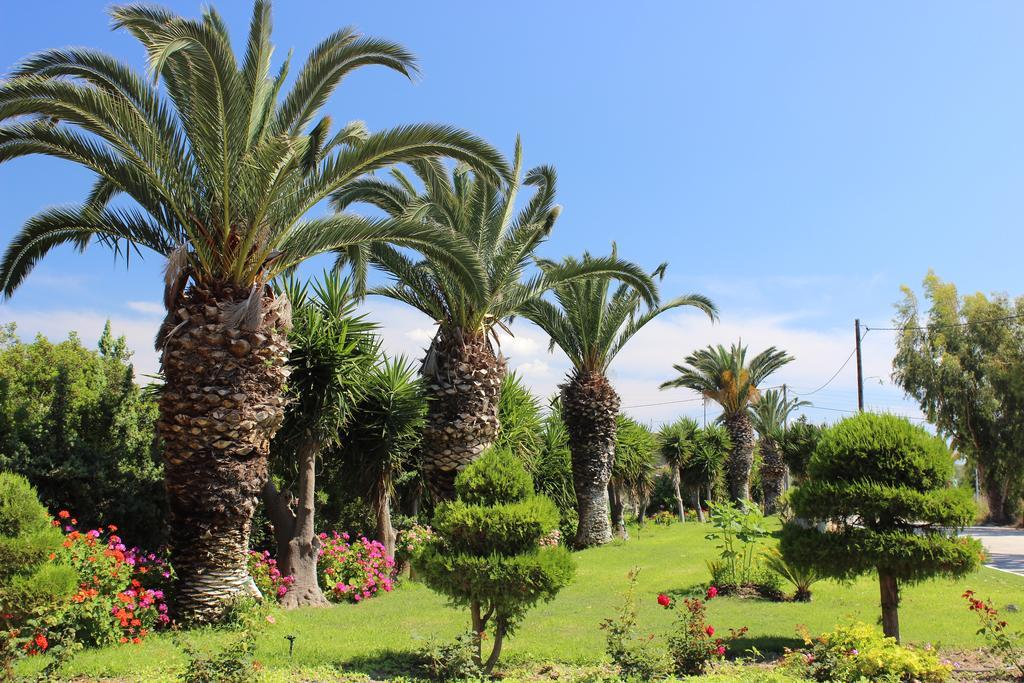 Corellia Asterias Beach Hotel Theológos Dış mekan fotoğraf