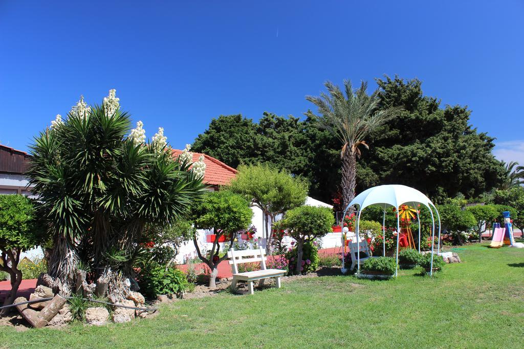 Corellia Asterias Beach Hotel Theológos Dış mekan fotoğraf